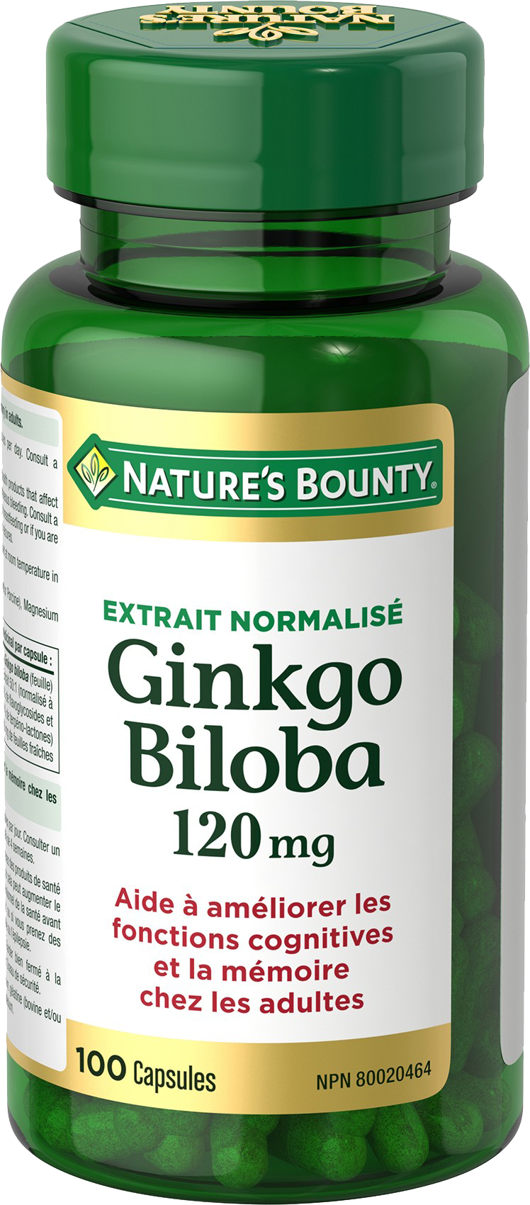 Ginkgo Biloba