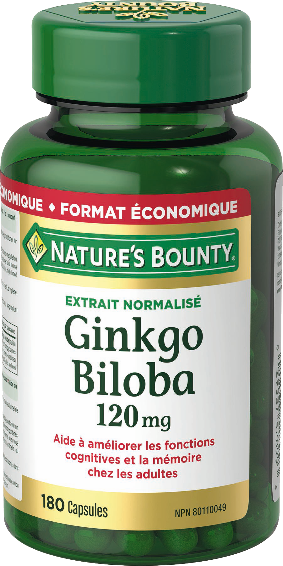 Ginkgo Biloba