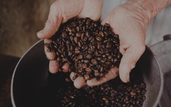 Brassée de manière responsable. Le Plan NESCAFÉ, une initiative mondiale qui soutient une agriculture, une production et une consommation responsables!