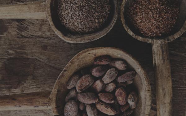 Fèves de cacao entières et moulues